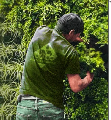 Profissional da Floresta de Quintal cuidando de um jardim vertical